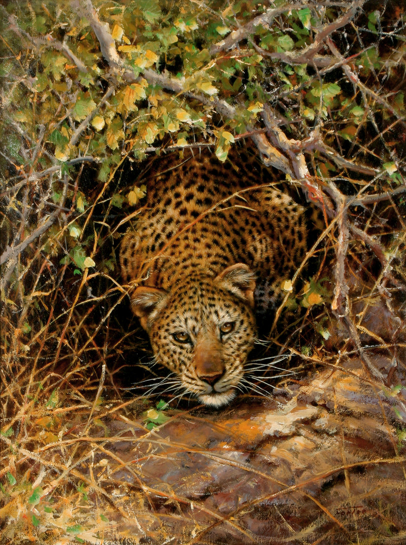 Animals Oil Painting - Hand-Painted Leopard in Thorn Bush