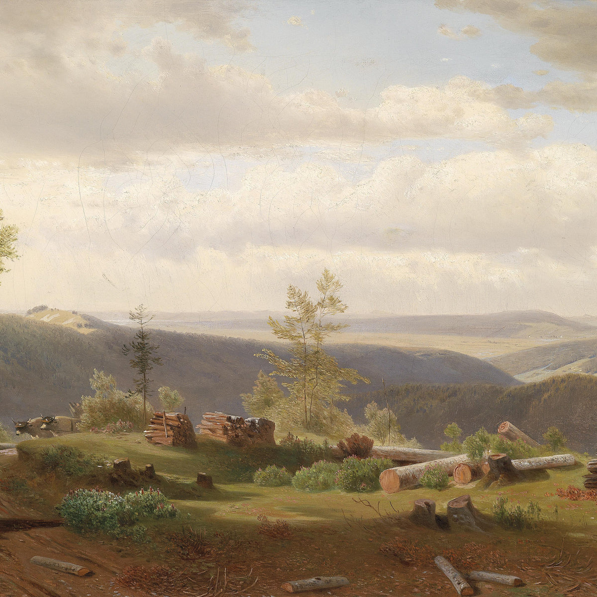 Forest Valley Landscape Oil Painting with Hills and Open Meadow