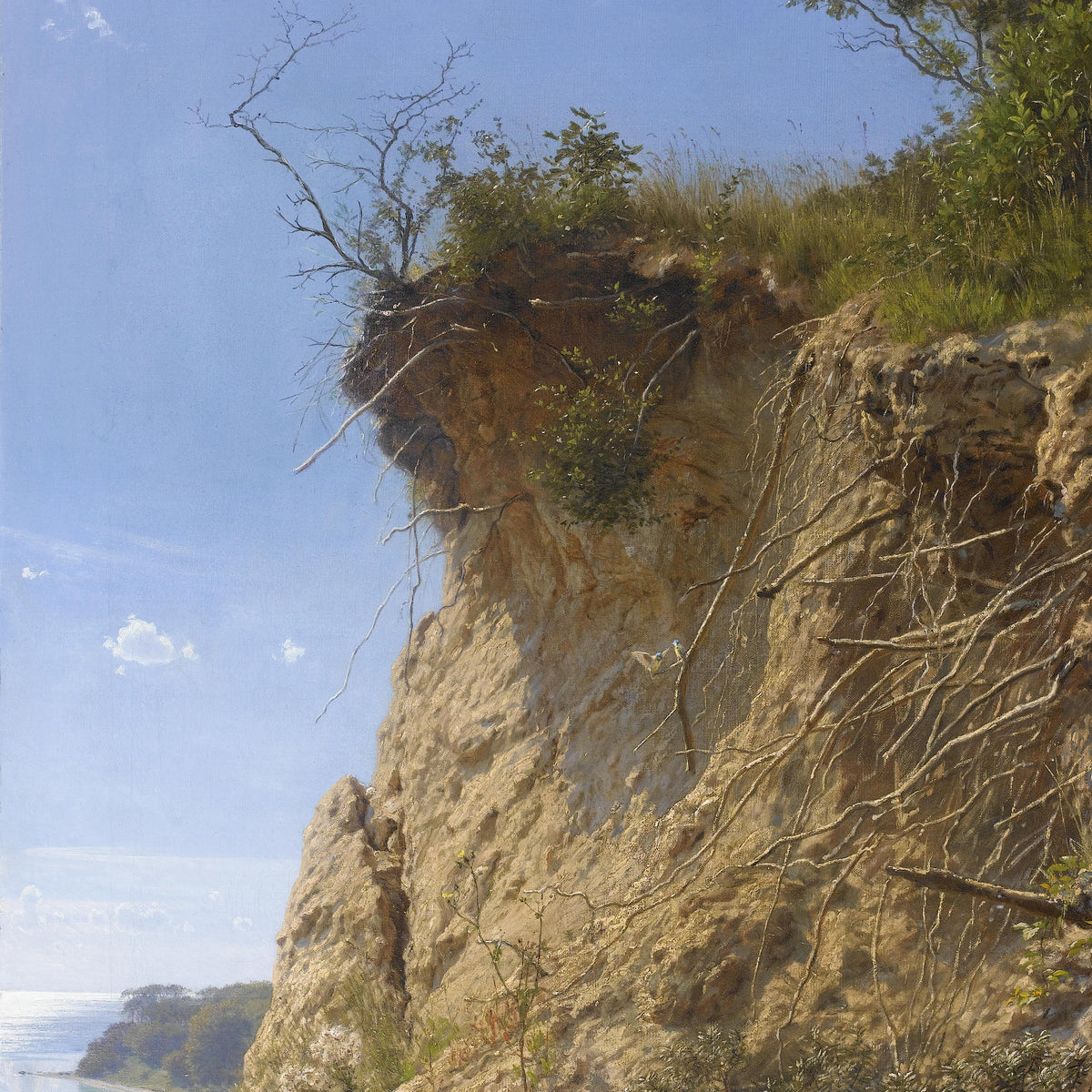 Landscape Oil Painting - Cliffside Coastal, Exposed Roots, Sea