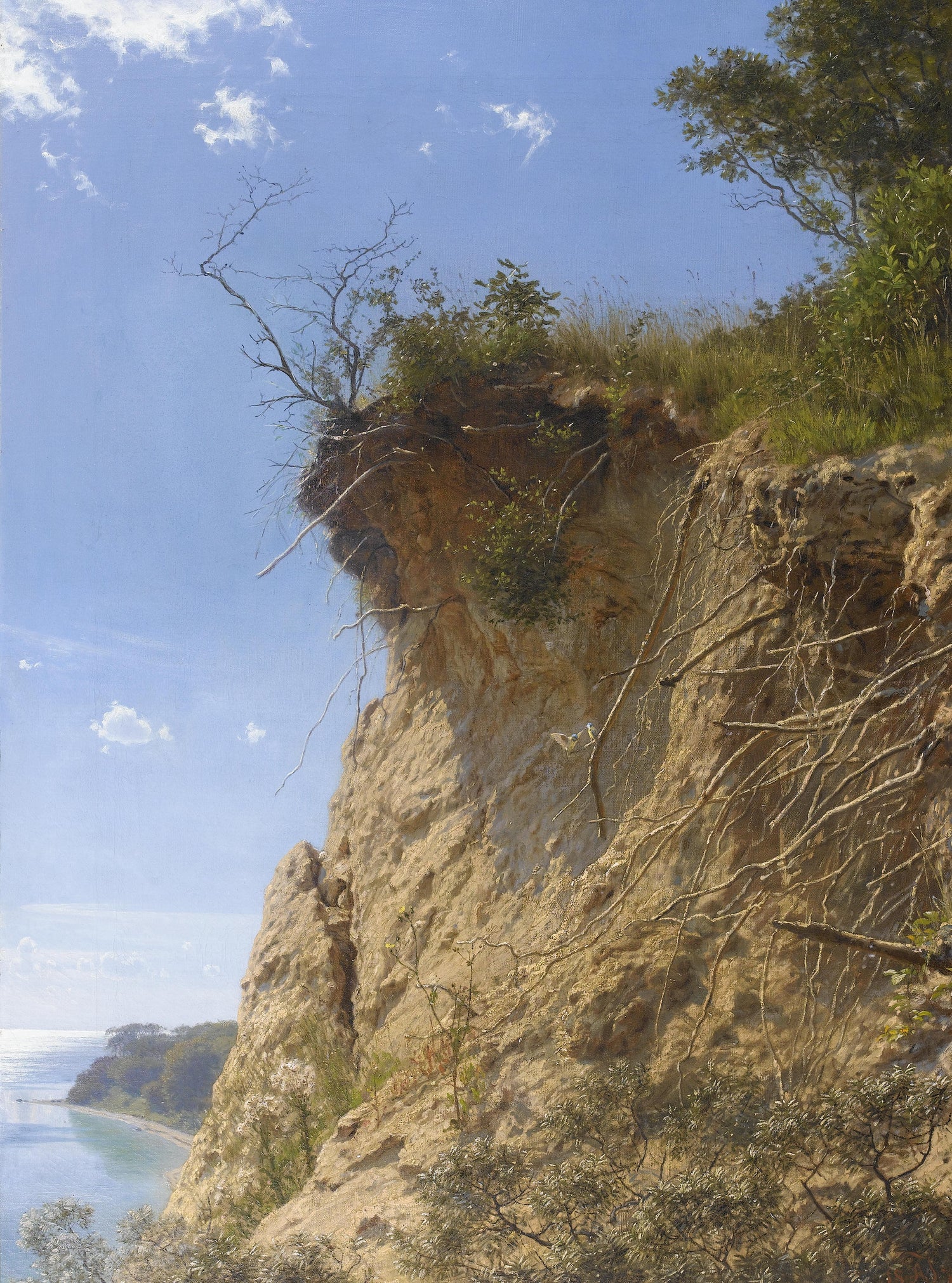 Landscape Oil Painting - Cliffside Coastal, Exposed Roots, Sea
