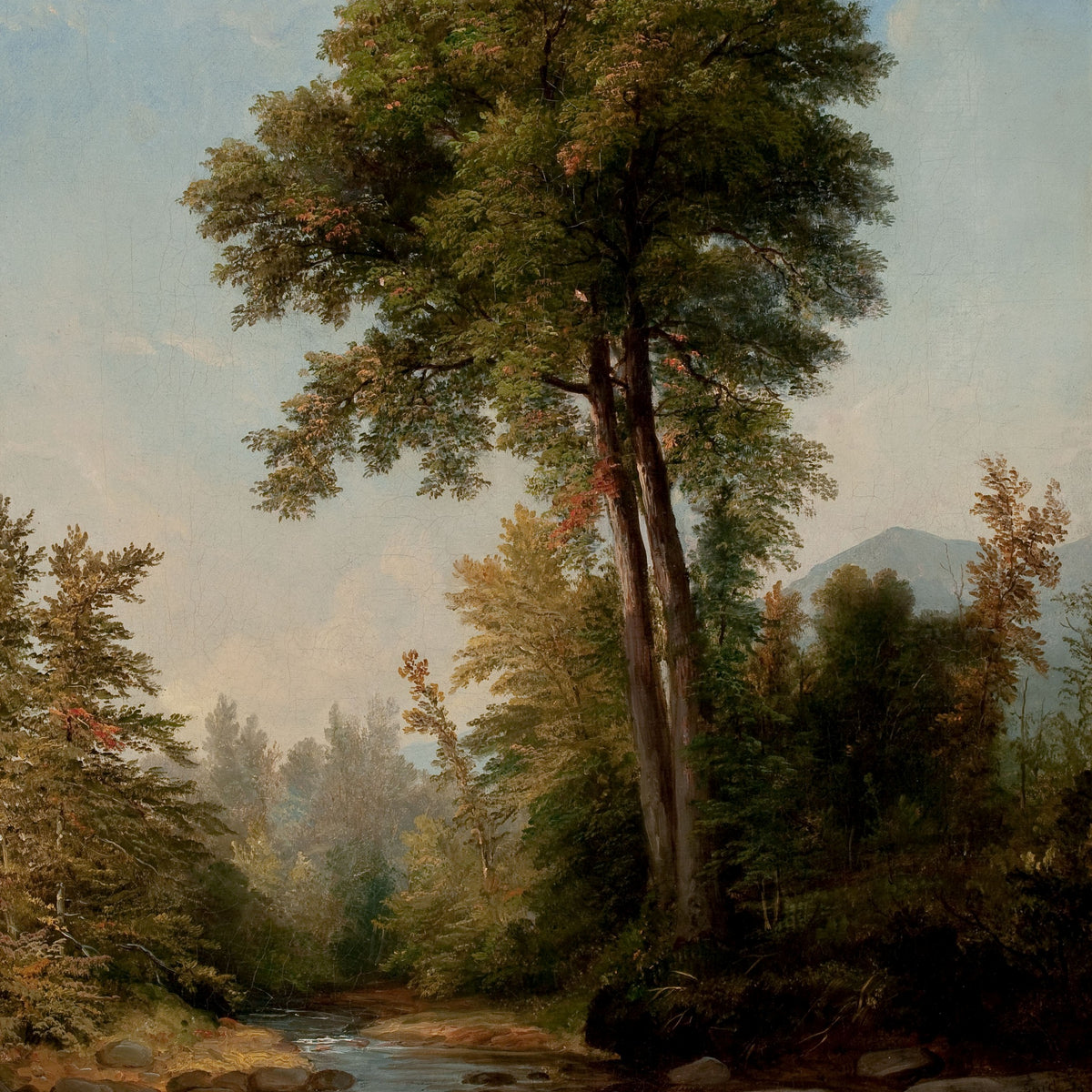 Landscape Oil Painting - Woodland Stream,Tall Trees, Rocks & Peaks