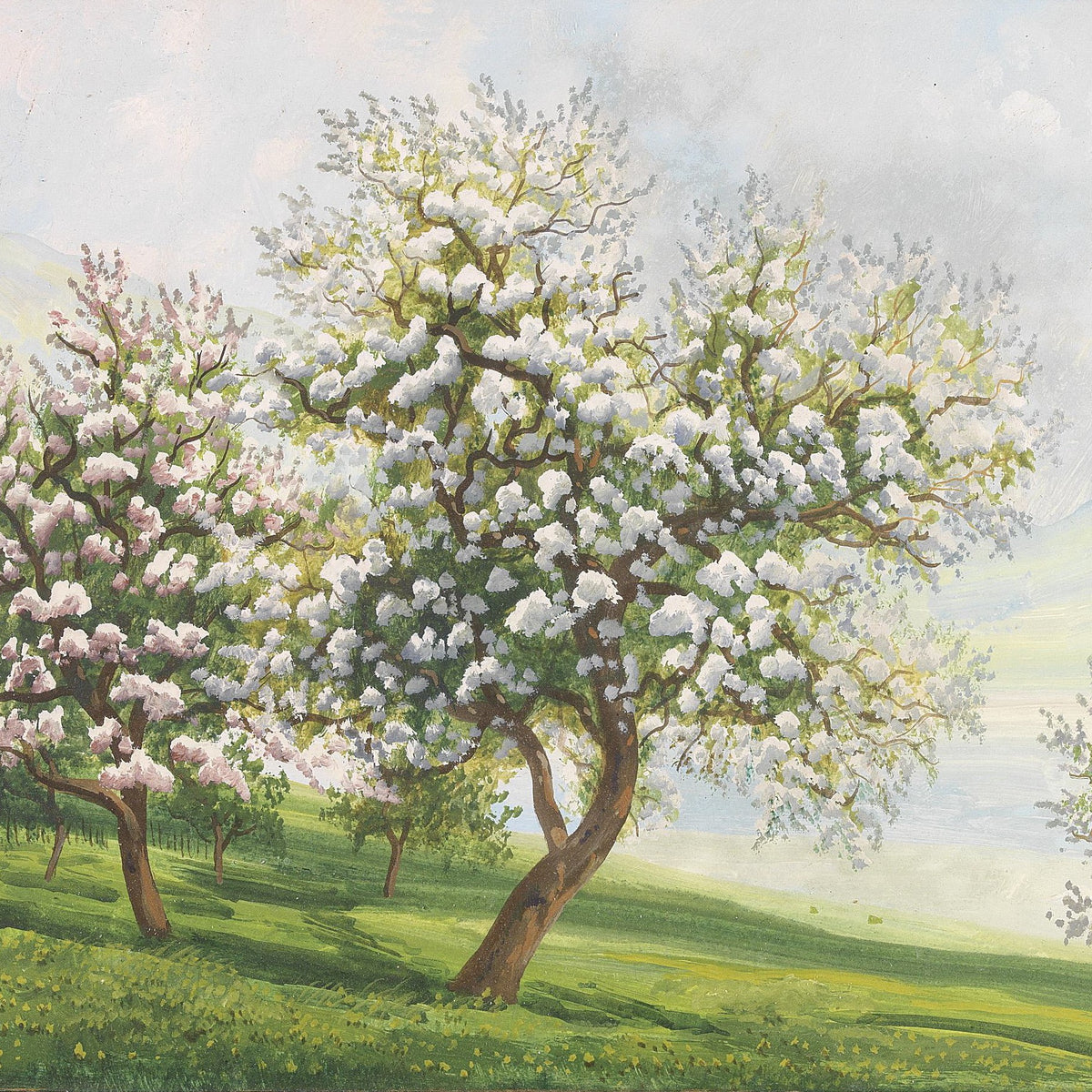 Landscape Oil Painting - Spring Blossom Orchard,Flowering Trees