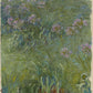 Agapanthus, 1914-17 - Oil Painting Haven