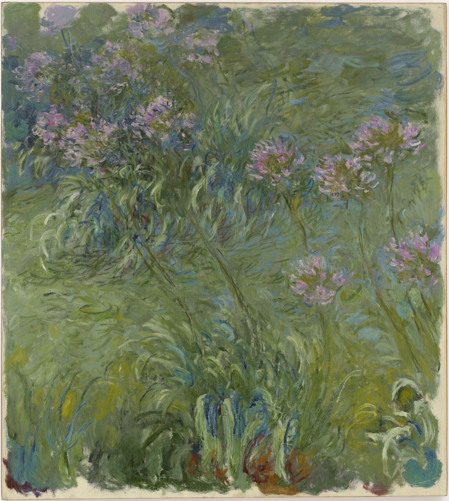 Agapanthus, 1914-17 - Oil Painting Haven