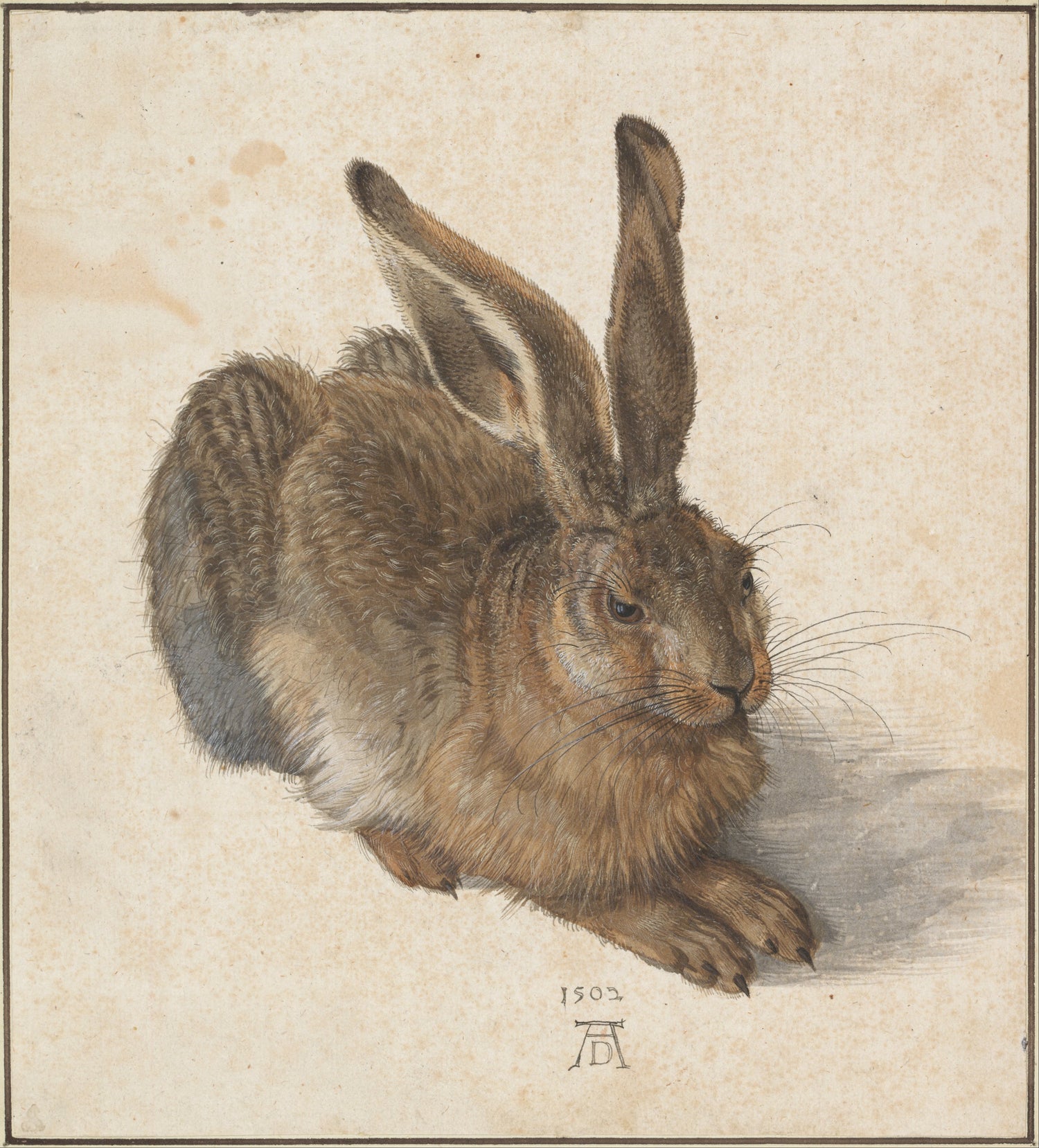 Albrecht Dürer (1471–1528)-Hare, 1502 - Oil Painting Haven