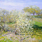 Apple Trees in Bloom, 1873 - Oil Painting Haven