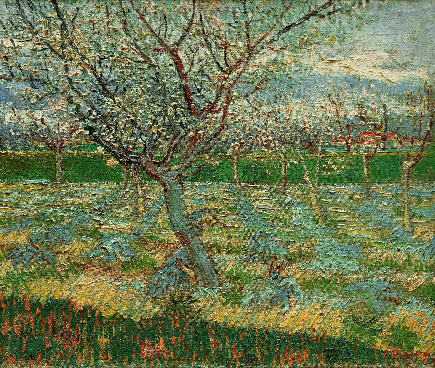 Apricot Trees in Blossom - Oil Painting Haven