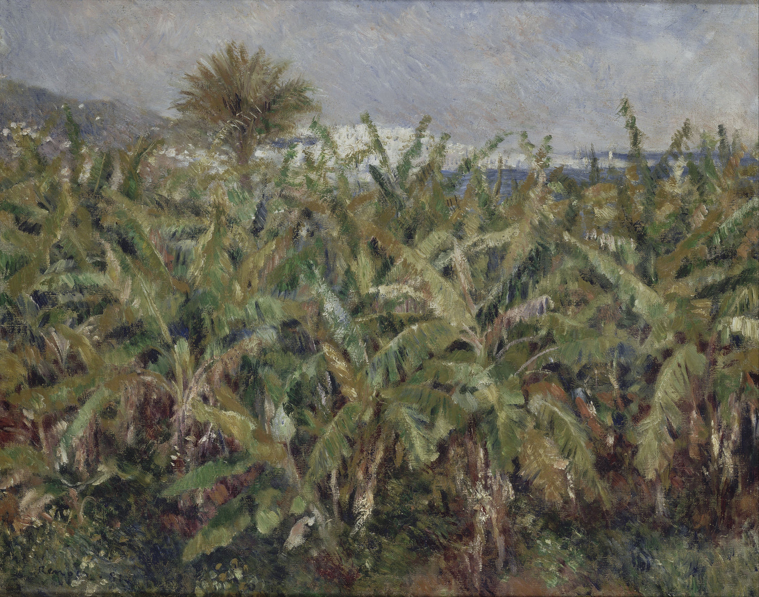 Auguste_Renoir_-_Field_of_Banana_Trees - Oil Painting Haven