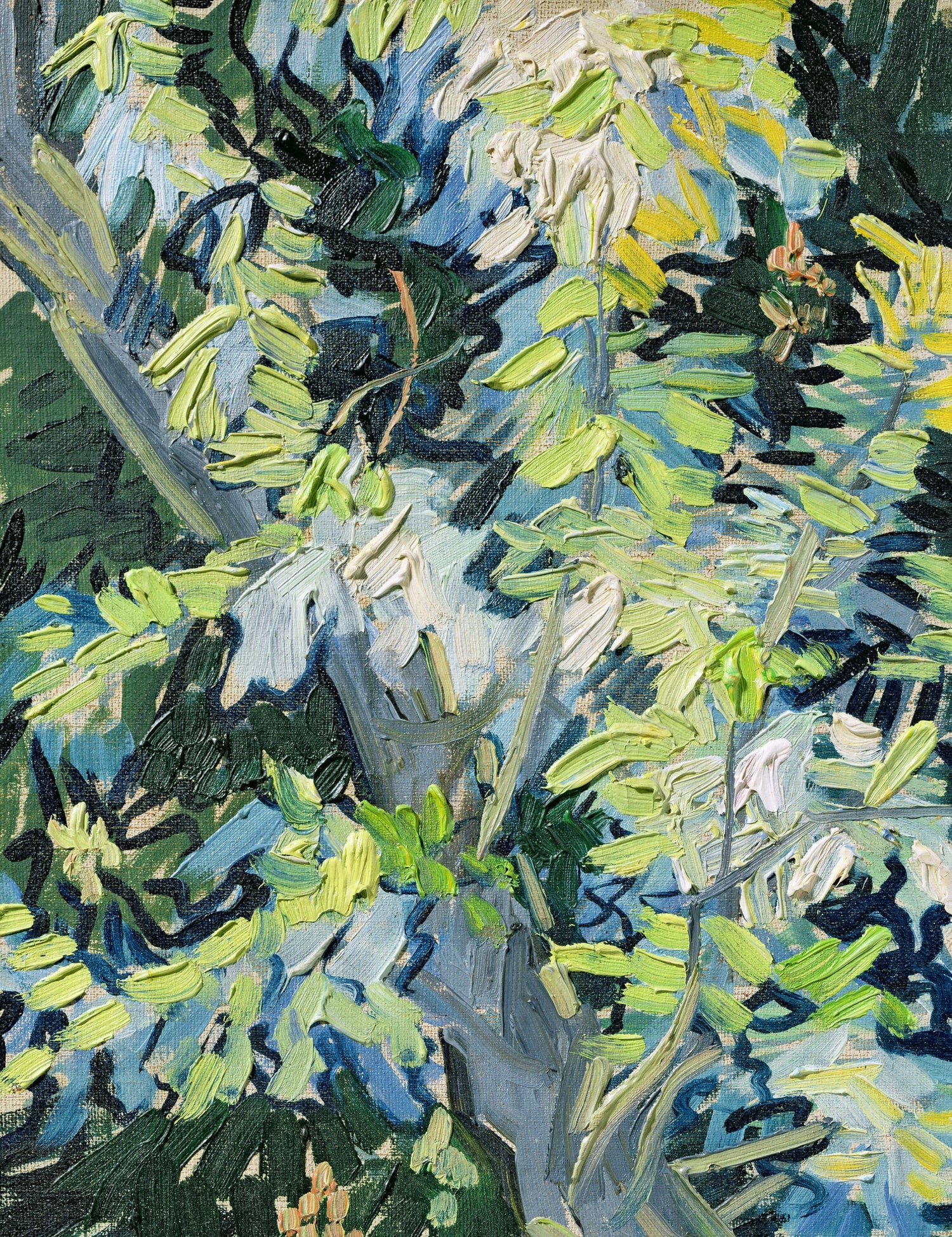 Blossoming Acacia Branches - Oil Painting Haven