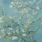 Blossoming Almond Tree - Oil Painting Haven