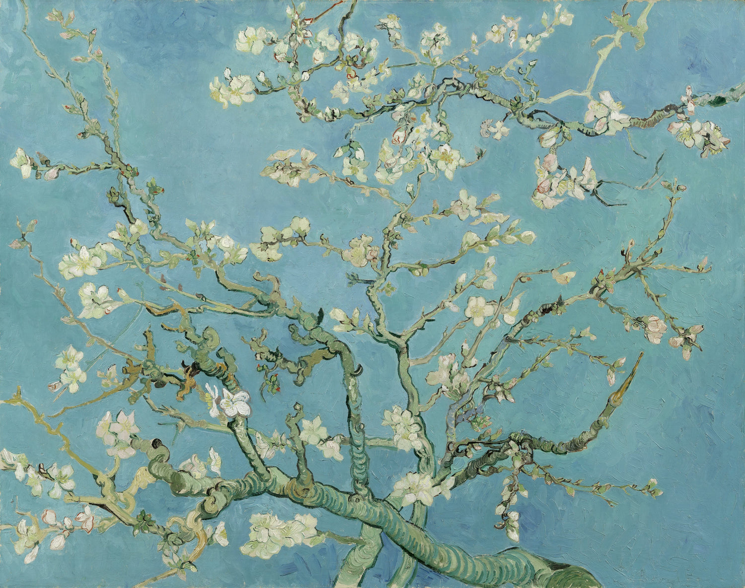 Blossoming Almond Tree - Oil Painting Haven