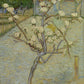 Blossoming Pear Tree - Oil Painting Haven