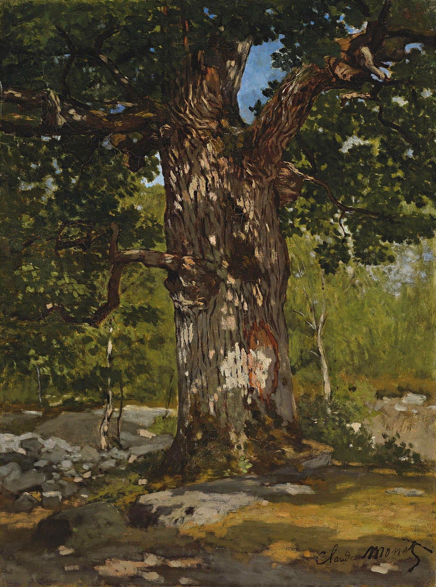 Claude Monet - The Bodmer Oak, 1865 - Oil Painting Haven