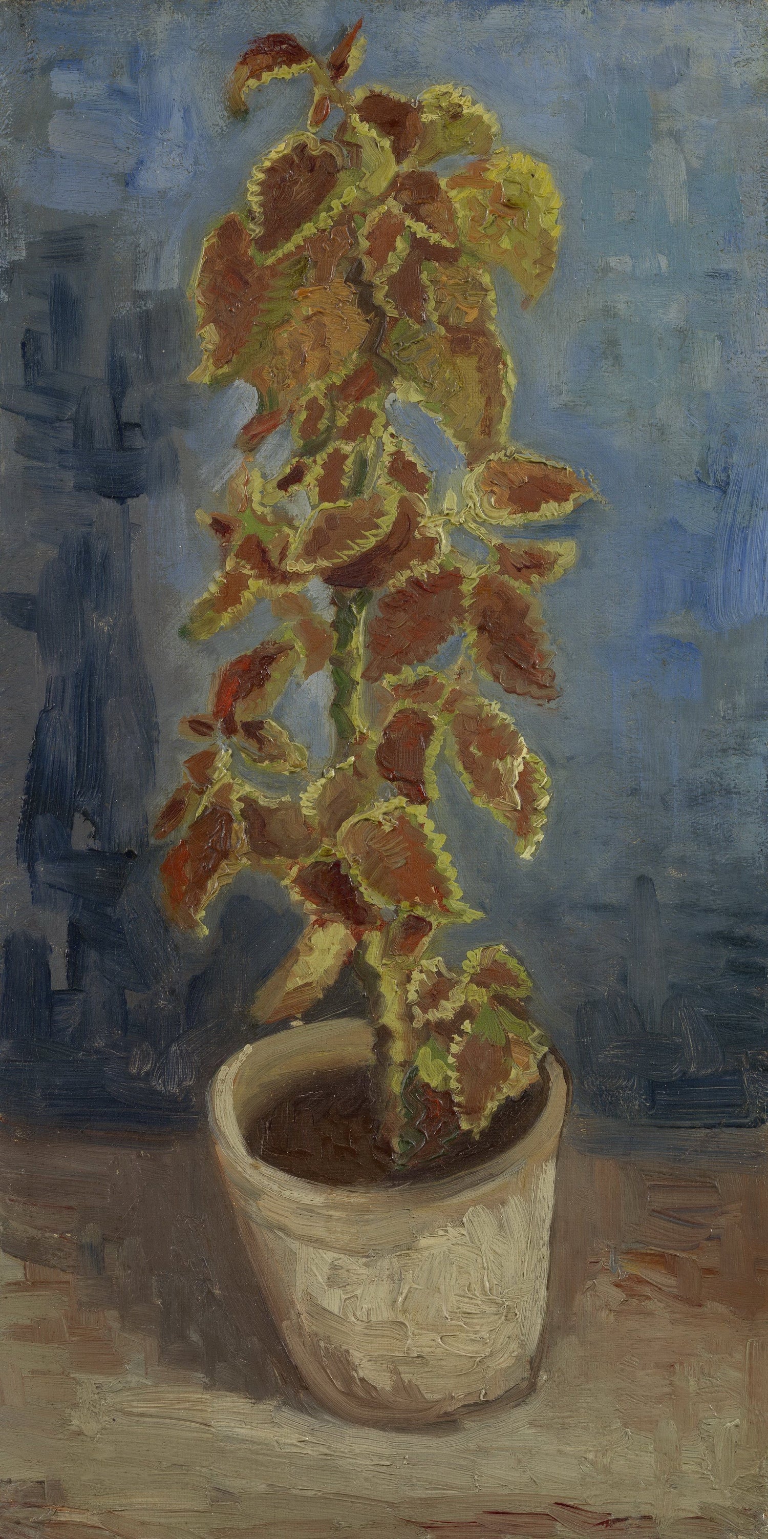 Coleus Plant in a Flowerpot, 1886 - Oil Painting Haven