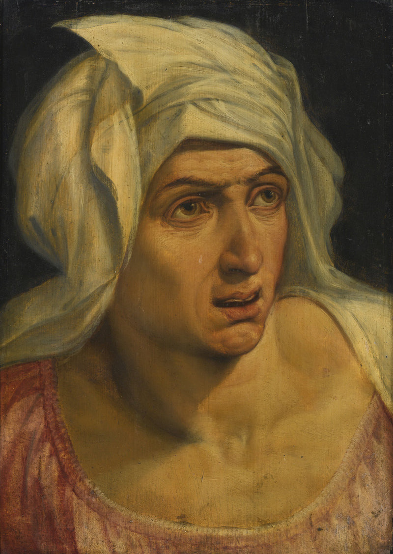 FRANS FLORIS-HEAD OF A WOMAN - Oil Painting Haven Oil Painting Haven