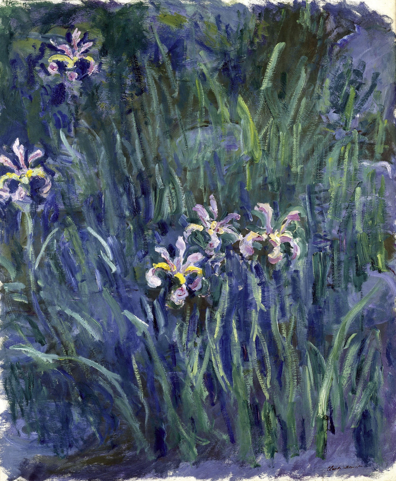 Iris, 1914-1917 - Oil Painting Haven