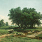 Ivan Shishkin 02 - Oil Painting Haven