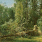 Ivan Shishkin 08 - Oil Painting Haven