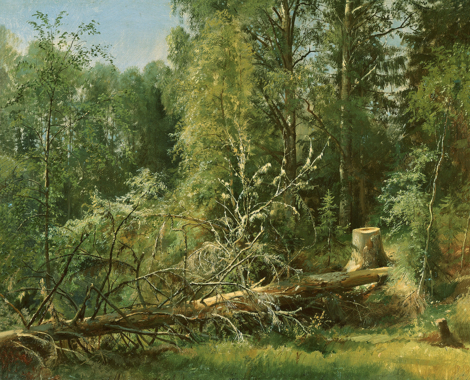 Ivan Shishkin 08 - Oil Painting Haven