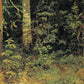 Ivan Shishkin 12 - Oil Painting Haven