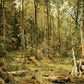 Ivan Shishkin 13 - Oil Painting Haven