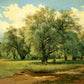 Ivan Shishkin 22 - Oil Painting Haven