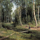 Ivan Shishkin 28 - Oil Painting Haven