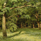 Ivan Shishkin 32 - Oil Painting Haven