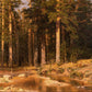 Ivan Shishkin 37 - Oil Painting Haven