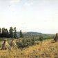 Ivan Shishkin 73 - Oil Painting Haven