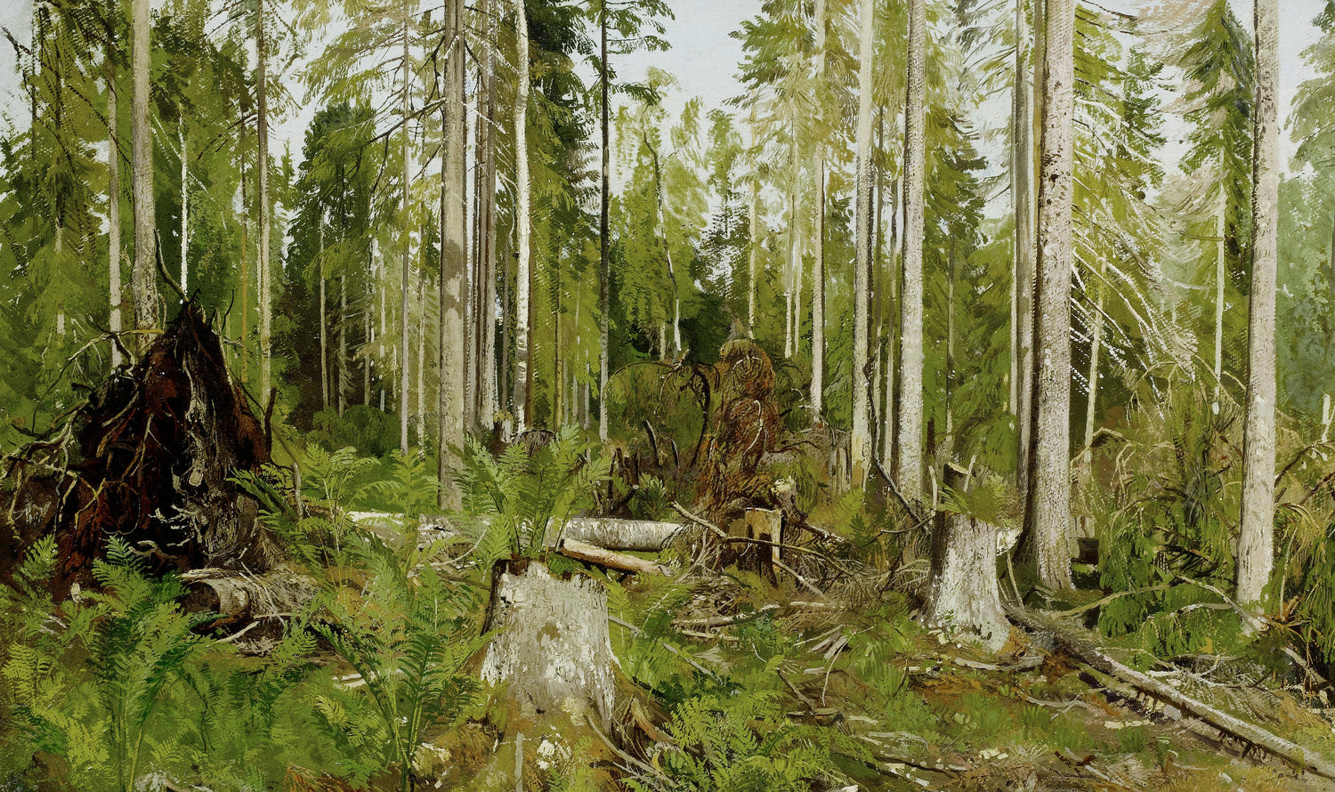 Ivan Shishkin 76 - Oil Painting Haven