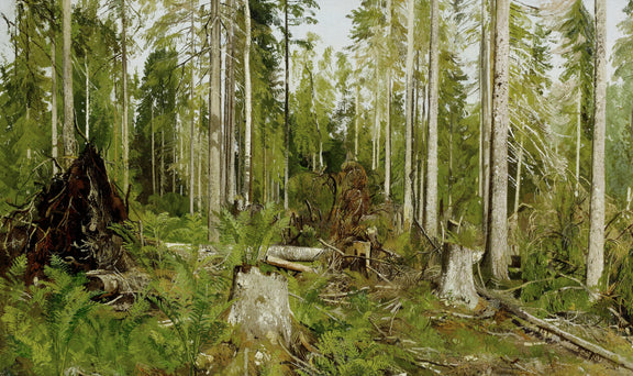 Ivan Shishkin 76 - Oil Painting Haven Oil Painting Haven