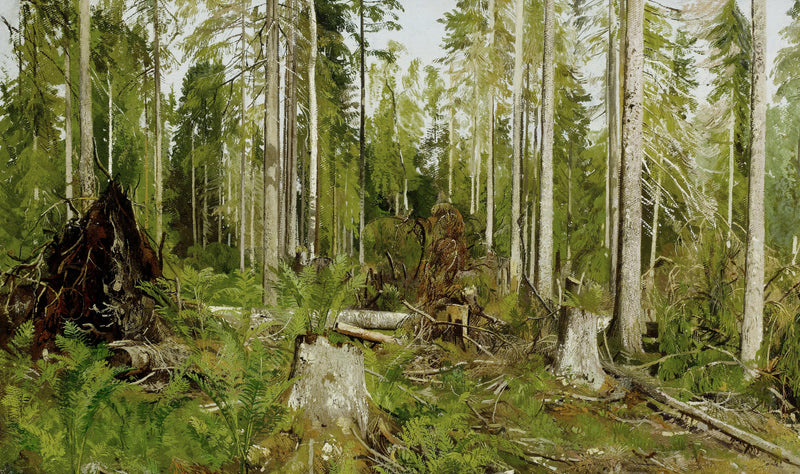 Ivan Shishkin 76 - Oil Painting Haven Oil Painting Haven