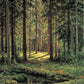 Ivan Shishkin 84 - Oil Painting Haven