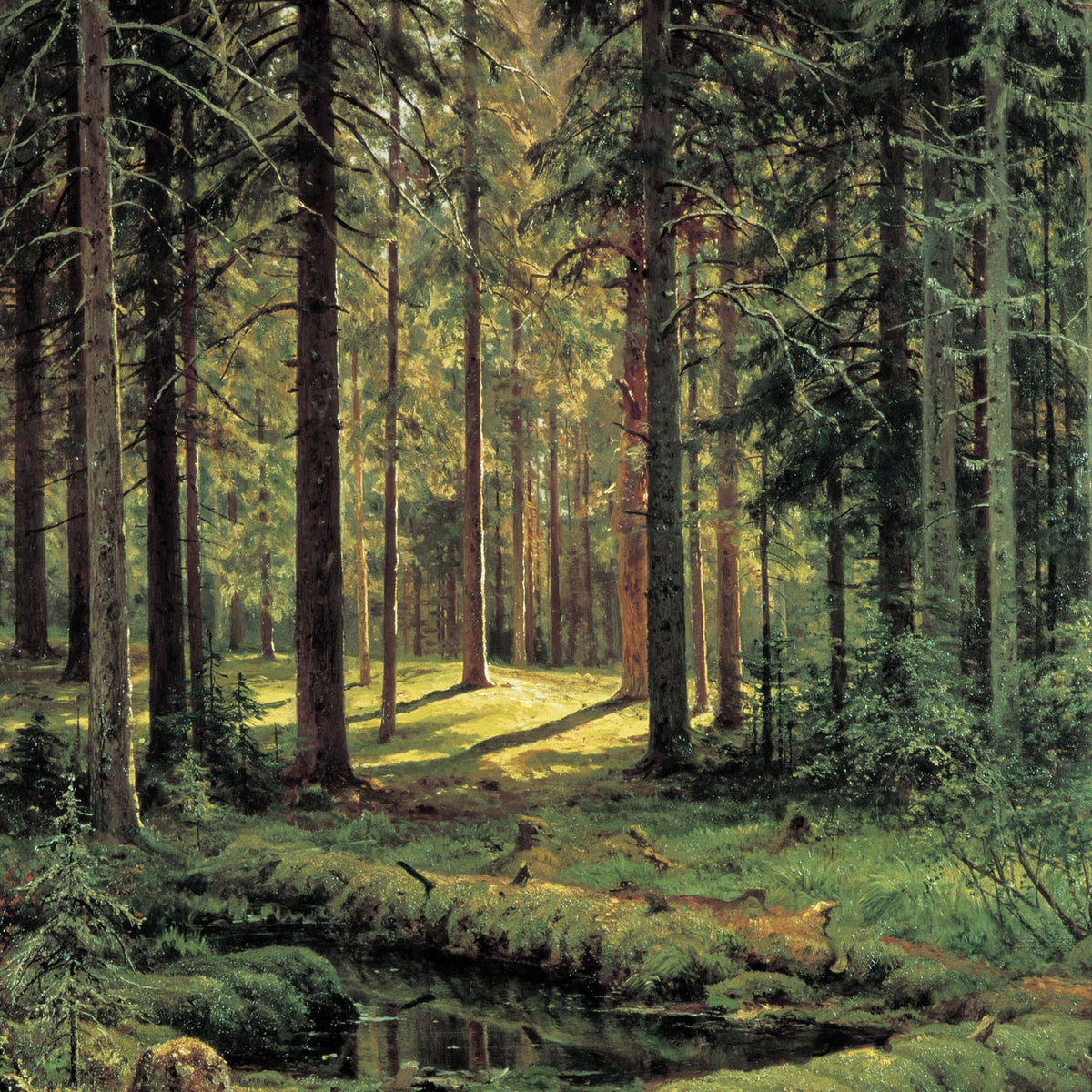 Hand-painted sunlit pine forest with quiet stream landscape oil painting on canvas