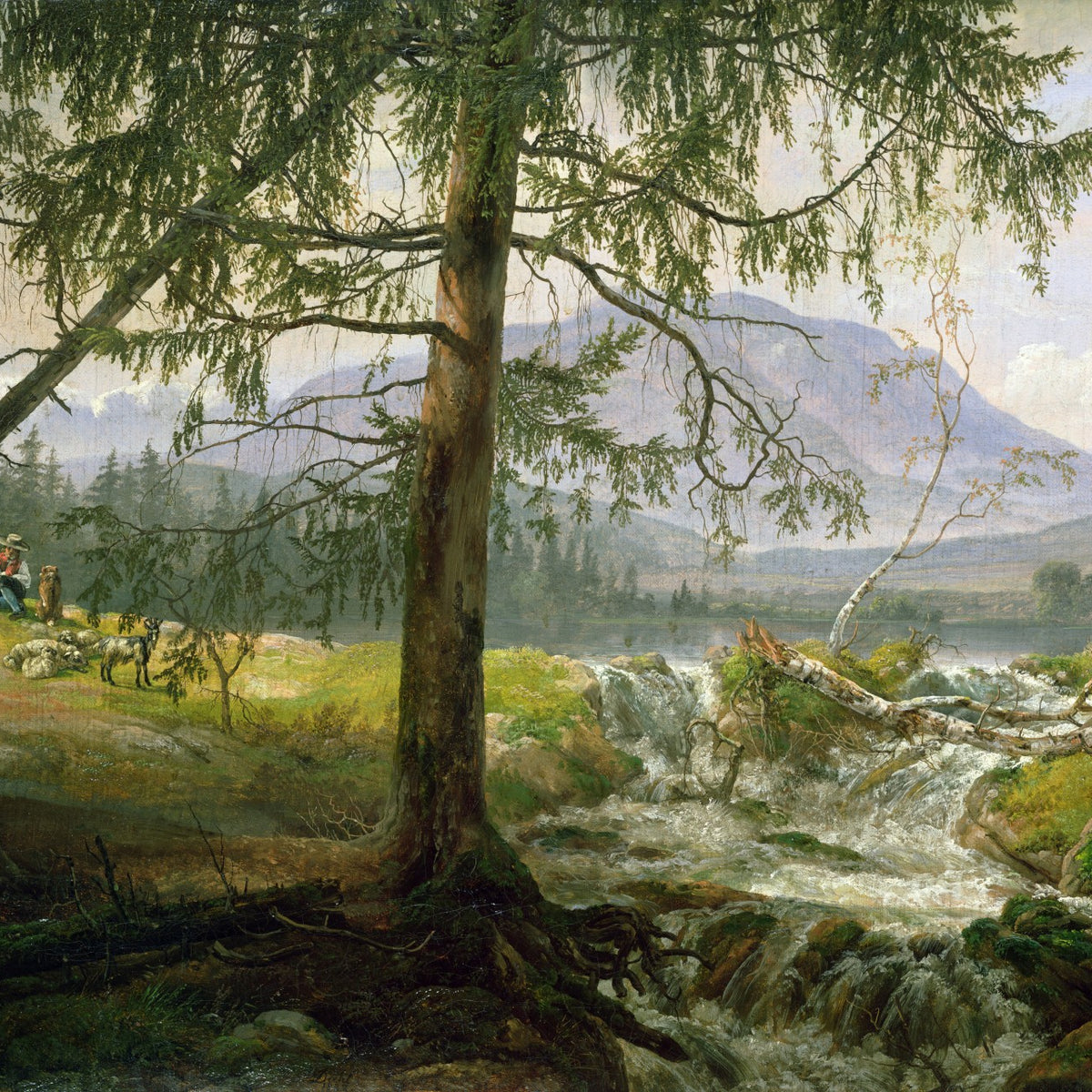 Landscape Oil Painting - Woodland Stream & Shepherd, Pines, Goats