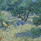 Olive Grove - Oil Painting Haven