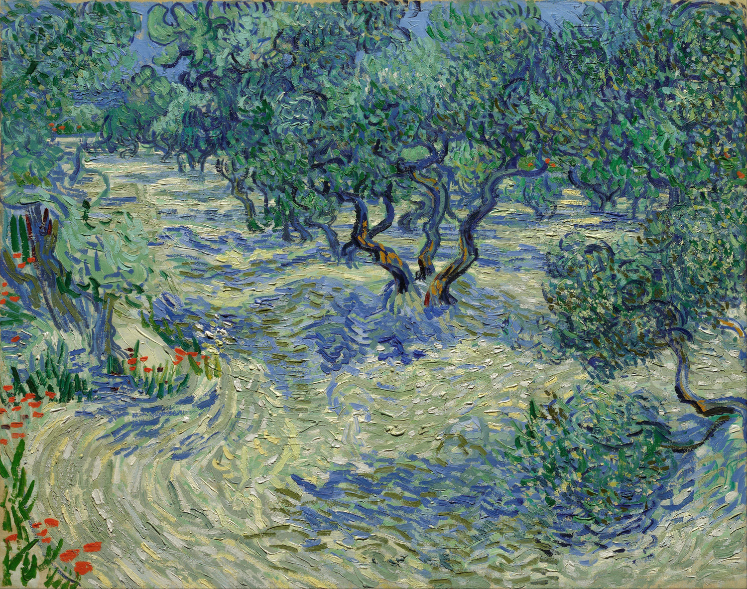 Olive Grove - Oil Painting Haven