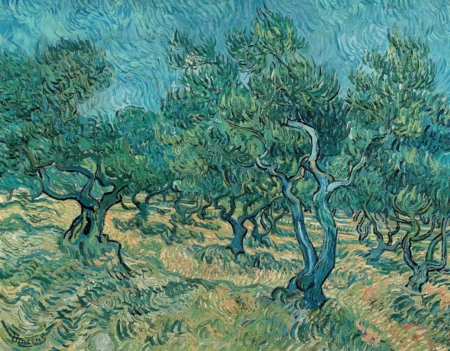 Olive Grove2 - Oil Painting Haven