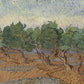 Olive Grove3 - Oil Painting Haven