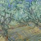 Olive Grove4 - Oil Painting Haven