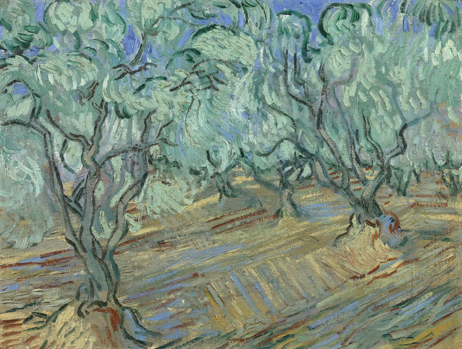 Olive Grove4 - Oil Painting Haven