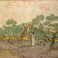 Olive Grove7 - Oil Painting Haven