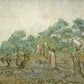 Olive Grove8 - Oil Painting Haven