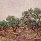 Olive Grove9 - Oil Painting Haven