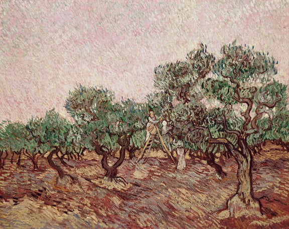 Olive Grove9 - Oil Painting Haven Oil Painting Haven