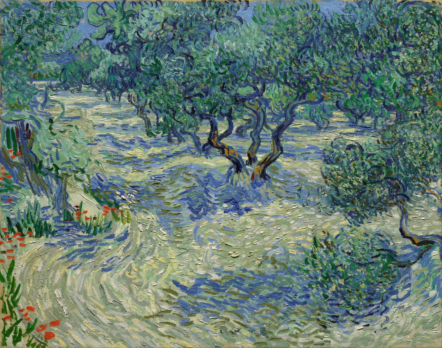 Olive Orchard 1889 - Oil Painting Haven