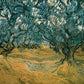 Olive Trees3 - Oil Painting Haven