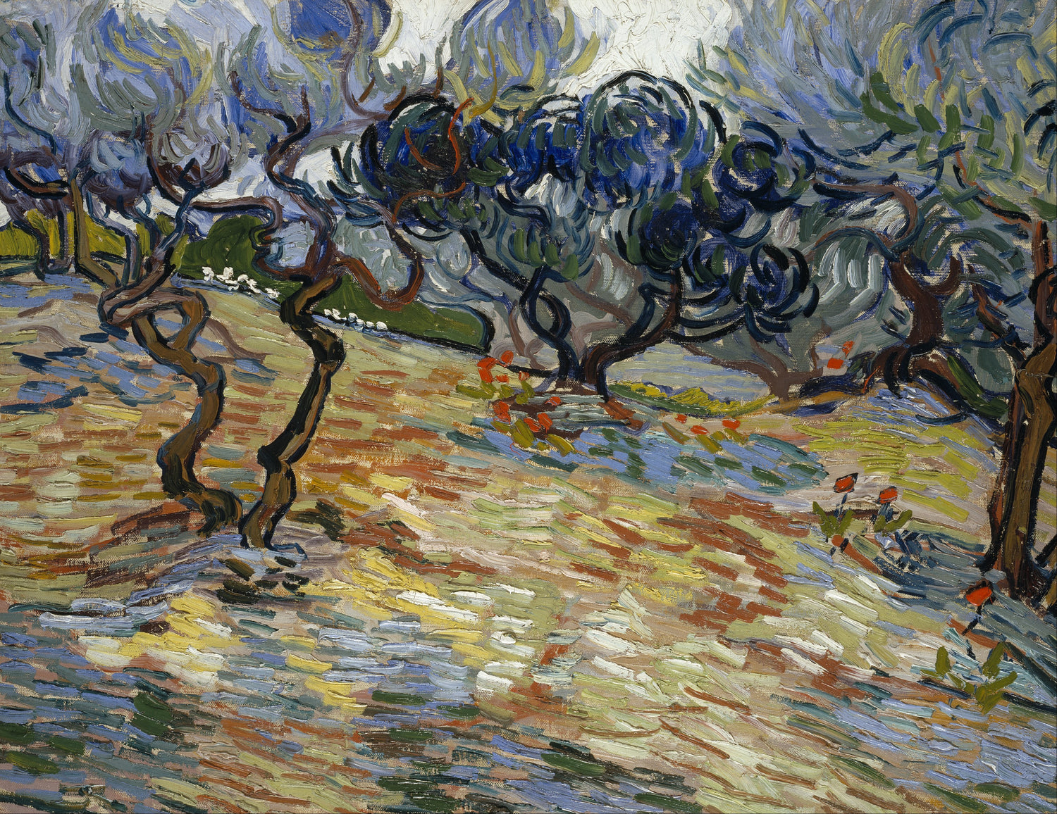 Olive Trees 1889 - Oil Painting Haven