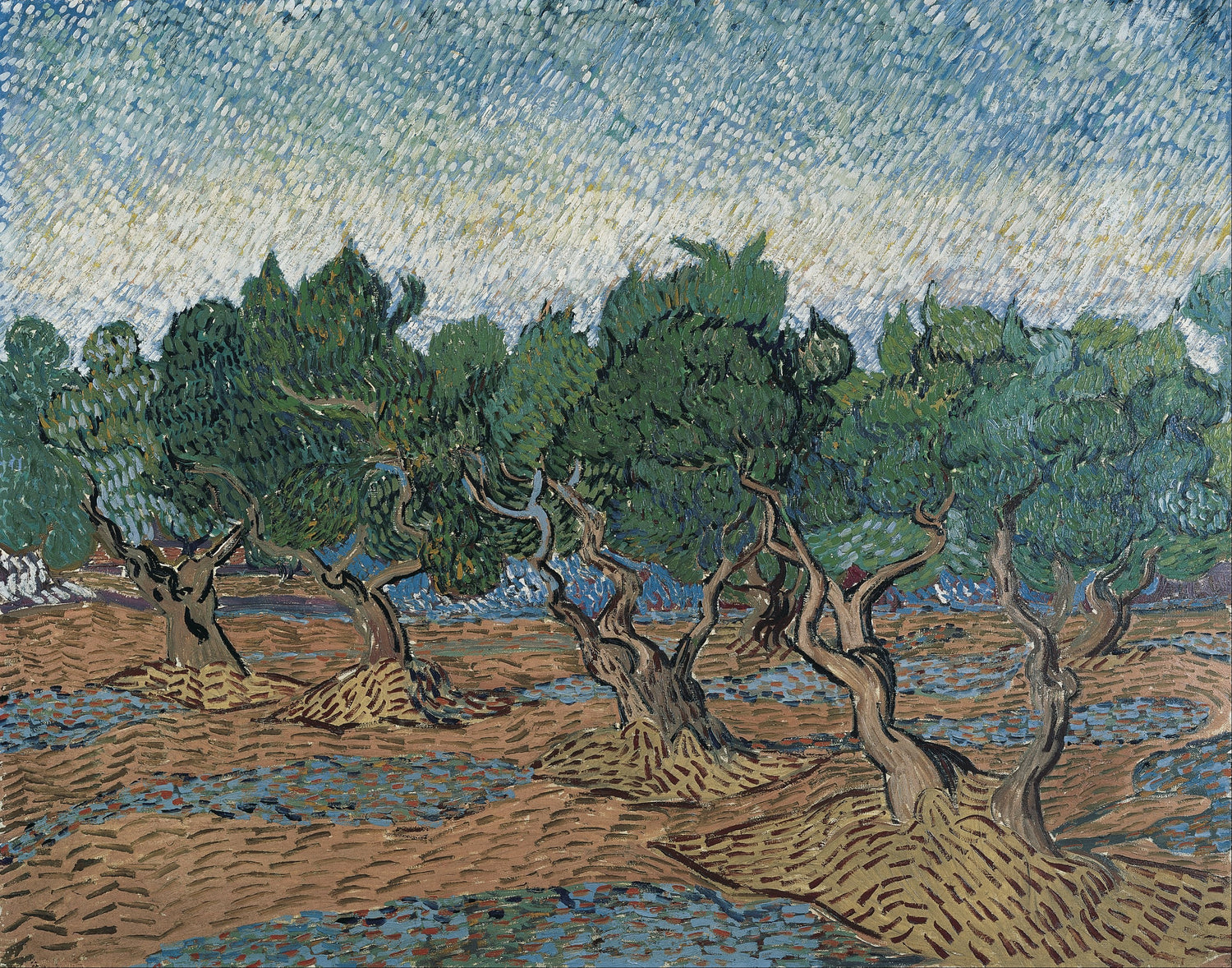 Olive grove (November 1889 - December 1889) - Oil Painting Haven